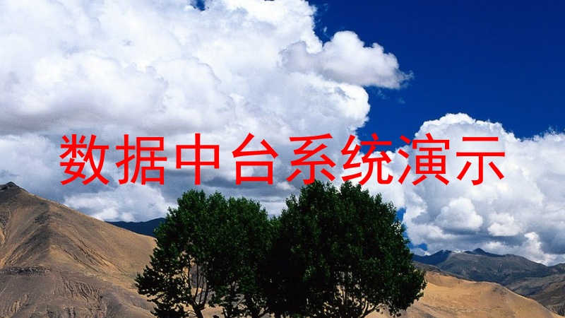 数据中台系统演示