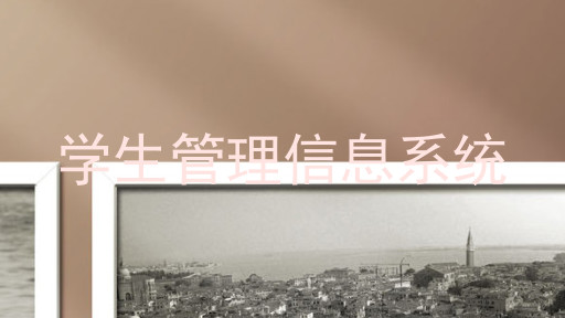 学生管理信息系统