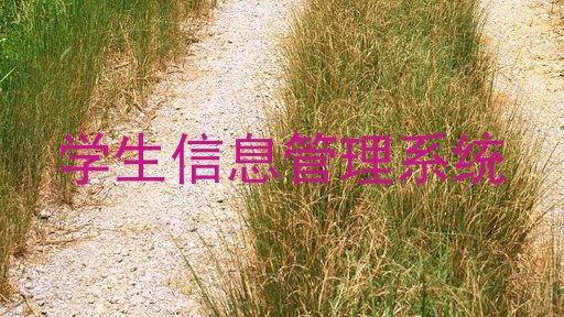 学生信息管理系统