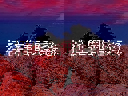 招生管理系统