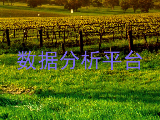 数据分析平台