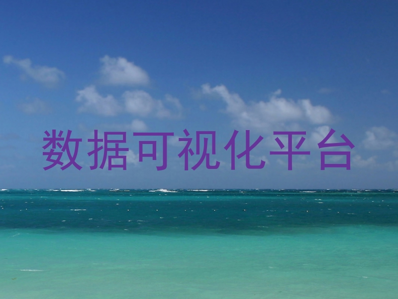 数据可视化平台