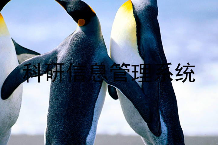科研信息管理系统