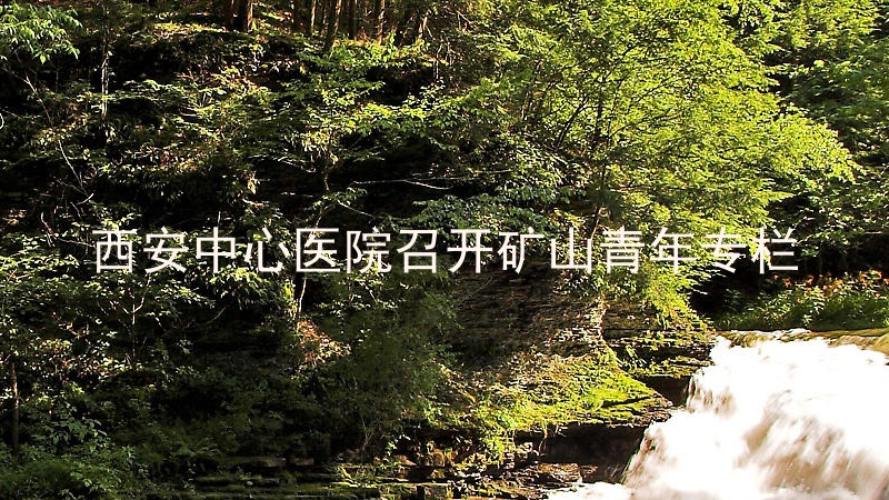 西安中心医院召开矿山青年专栏