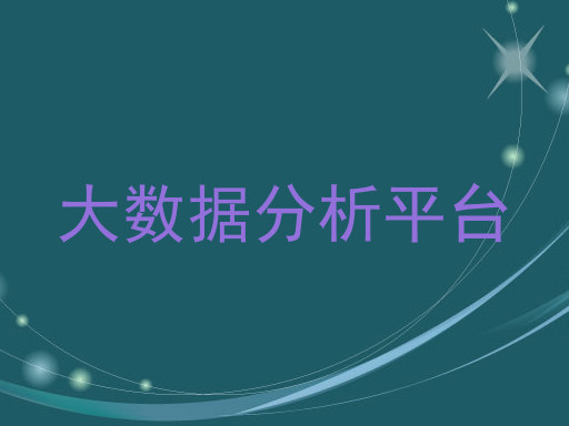 大数据分析平台
