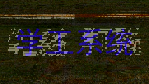 学工系统