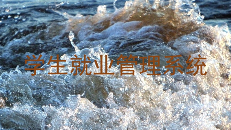 学生就业管理系统