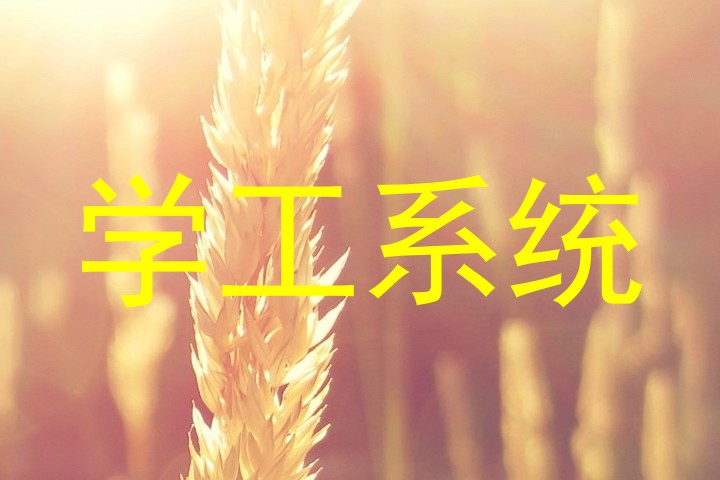学工系统