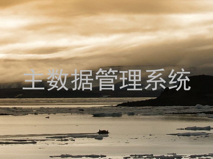 主数据管理系统