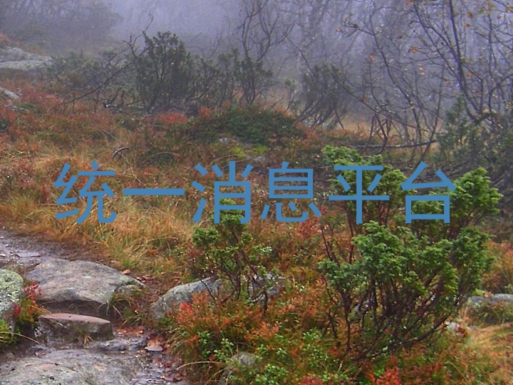 統(tǒng)一消息平臺(tái)