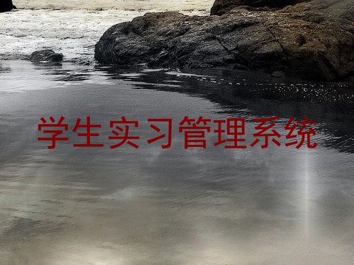 学生实习管理系统