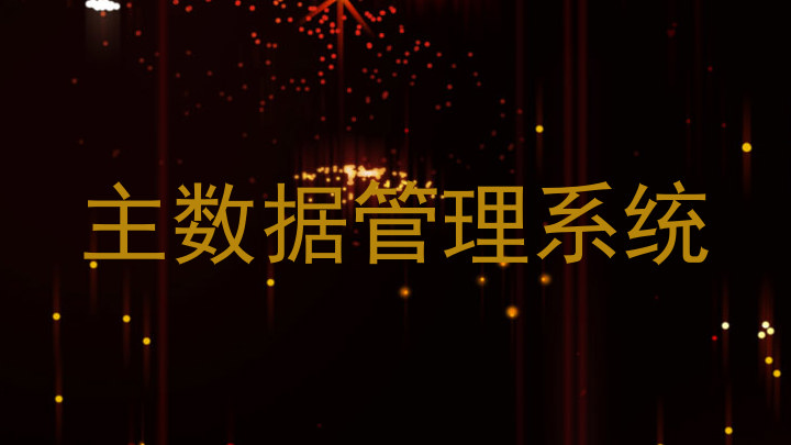 主数据管理系统