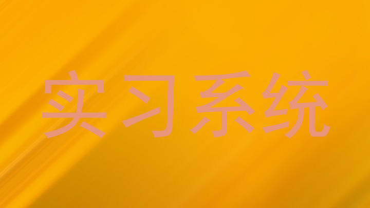 实习系统