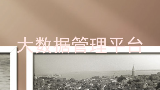 大数据管理平台