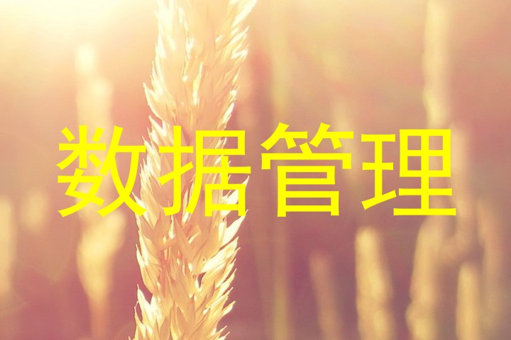 数据管理