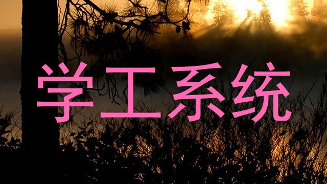 学工系统