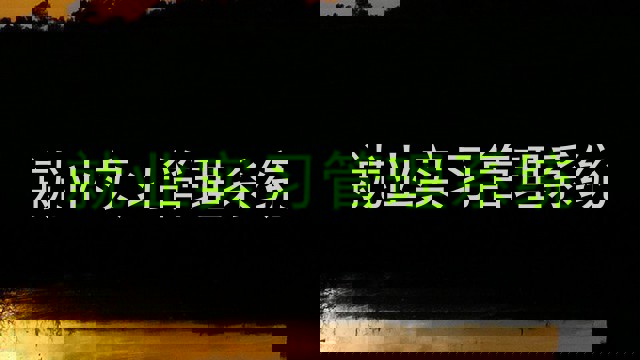 就业实习管理系统