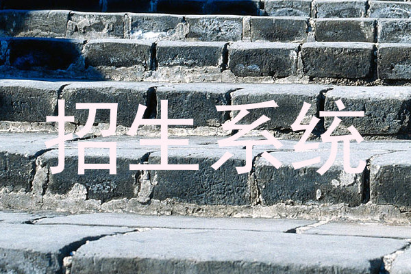 招生系统