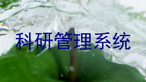 科研管理系统
