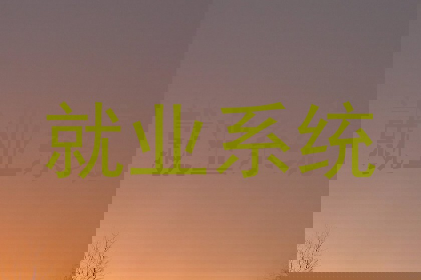 就业系统
