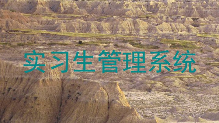 实习生管理系统