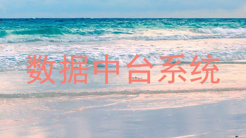 数据中台系统