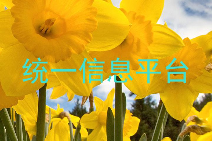 統(tǒng)一信息平臺