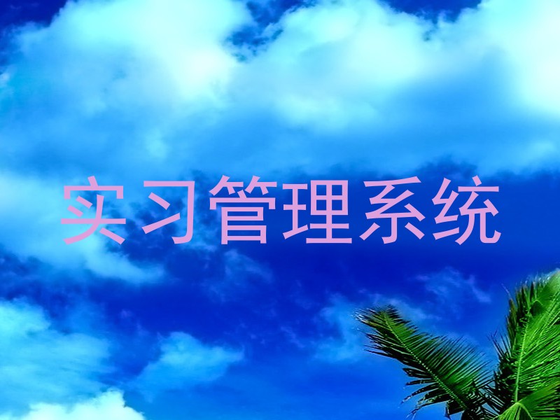 实习管理系统
