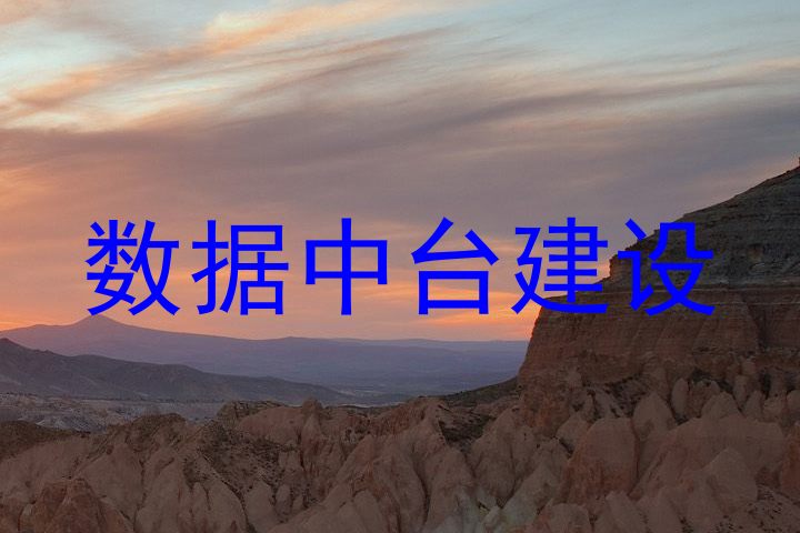 数据中台建设