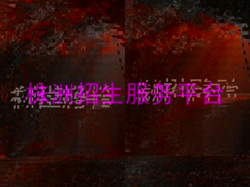 株洲招生服务平台