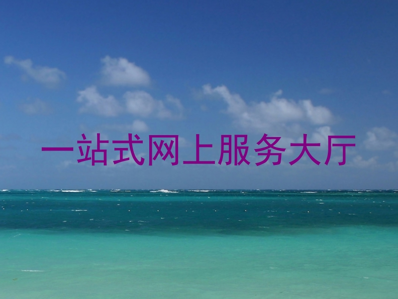 一站式网上服务大厅