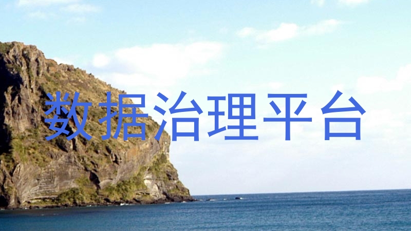数据治理平台