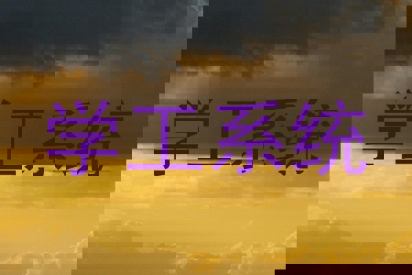 学工系统