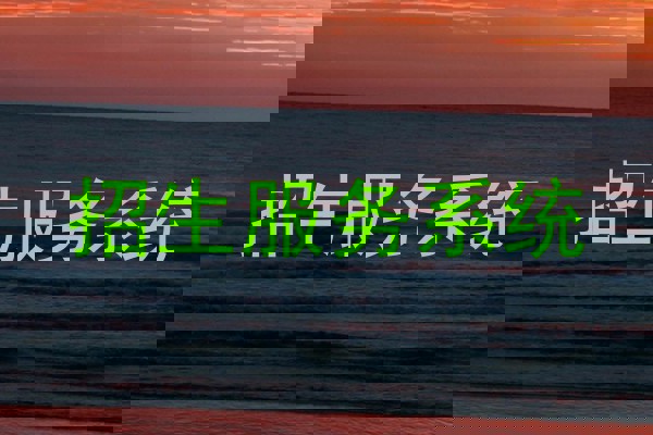 招生服务系统