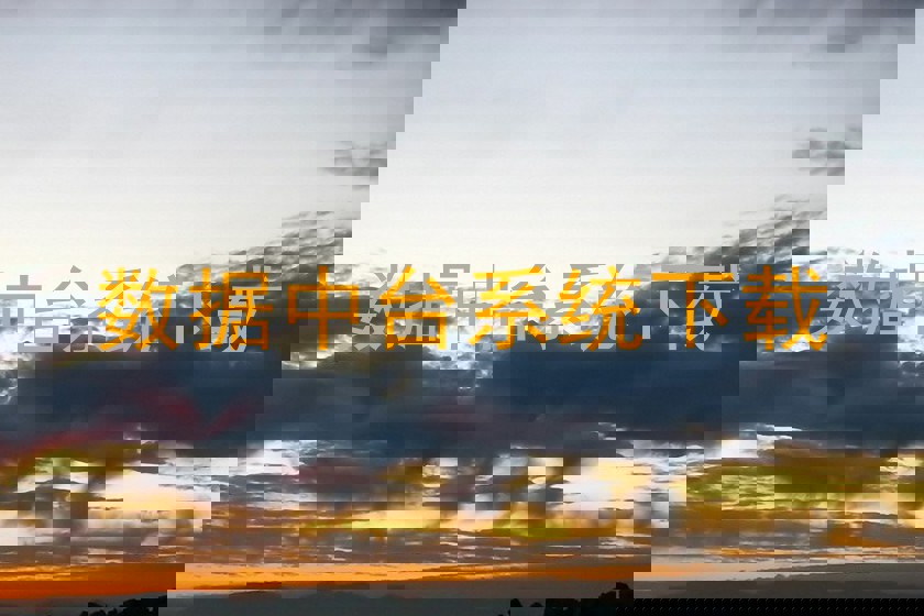 数据中台系统下载