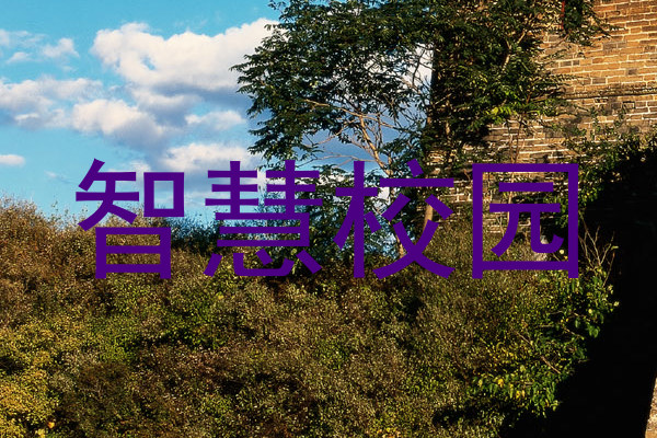 智慧校园