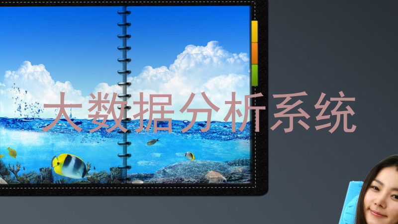 大数据分析系统