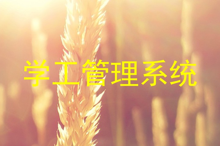 学工管理系统