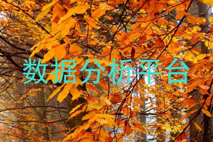 数据分析平台