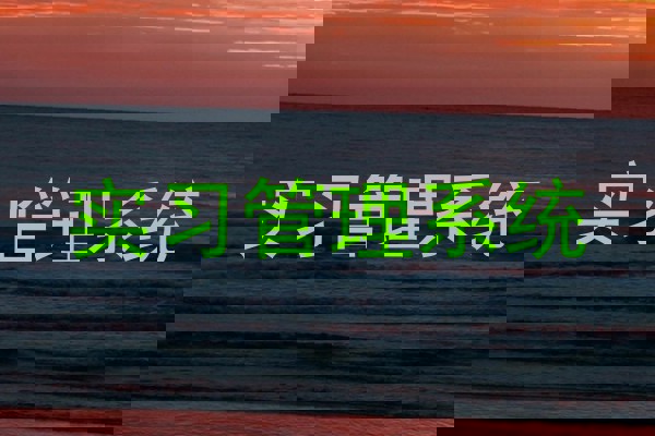 实习管理系统