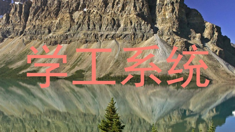 学工系统