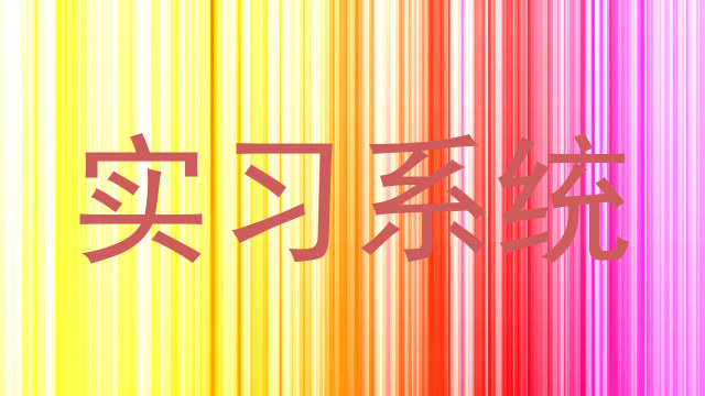 实习系统