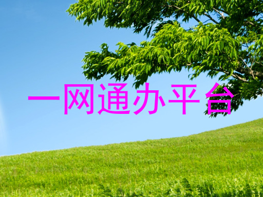 一网通办平台