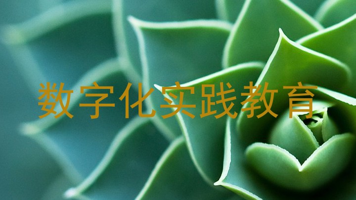数字化实践教育