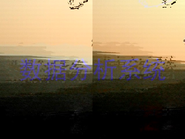 数据分析系统