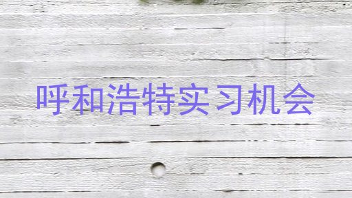 呼和浩特实习机会