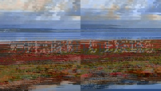 统一身份认证系统