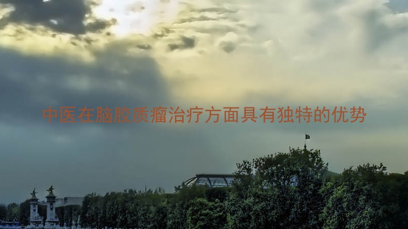 中医在脑胶质瘤治疗方面具有独特的优势