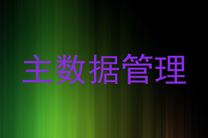 主数据管理