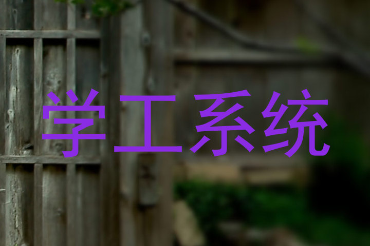 学工系统